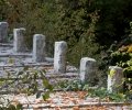 05. Συρράκο (Άγιος Γεώργιος) – Δάσος Μπάτζας (Πουλιάνα – Κουιάσα) Καλαρρύτες