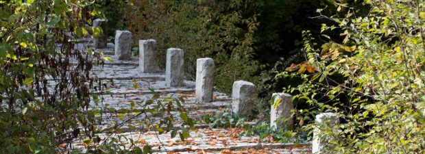 05. Συρράκο (Άγιος Γεώργιος) – Δάσος Μπάτζας (Πουλιάνα – Κουιάσα) Καλαρρύτες