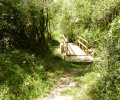 30. Ποταμός Άραχθος (Μονοπάτι Βίδρας)